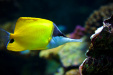 Thumbnail _mg_7650.jpg 