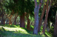 Thumbnail _mg_7919.jpg 