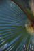 Thumbnail _mg_8242.jpg 