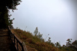 Thumbnail _mg_8393.jpg 