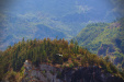Thumbnail _mg_8599.jpg 