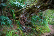 Thumbnail _mg_8790.jpg 