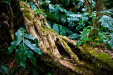 Thumbnail _mg_8793.jpg 