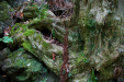 Thumbnail _mg_8842.jpg 