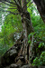 Thumbnail _mg_8847.jpg 