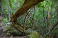 Thumbnail _mg_8854.jpg 