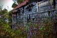 Thumbnail _mg_8903.jpg 