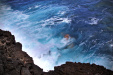 Thumbnail _mg_9764.jpg 