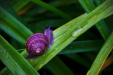 Thumbnail _mg_0046.jpg 