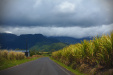 Thumbnail _mg_0054.jpg 
