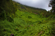 Thumbnail _mg_0207.jpg 