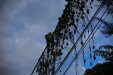 Thumbnail _mg_0231.jpg 