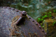 Thumbnail _mg_0399.jpg 