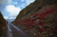 Thumbnail _mg_0435.jpg 