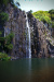 Thumbnail _mg_0528.jpg 