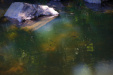 Thumbnail _mg_0529.jpg 