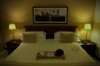 Thumbnail _mg_0536.jpg 