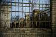 Thumbnail img_3739.jpg 
