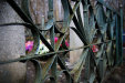 Thumbnail img_3859.jpg 