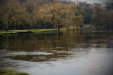 Thumbnail img_3948.jpg 