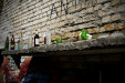 Thumbnail img_3998.jpg 