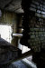 Thumbnail img_4012.jpg 