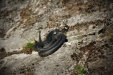 Thumbnail img_4041.jpg 