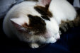 Thumbnail img_4075.jpg 
