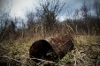 Thumbnail img_4233.jpg 