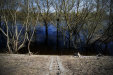 Thumbnail img_4318.jpg 