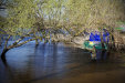 Thumbnail img_4322.jpg 