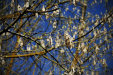 Thumbnail img_4325.jpg 