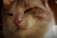 Thumbnail img_4357.jpg 