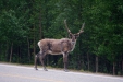Thumbnail img_3582.jpg 