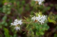 Thumbnail img_3607.jpg 
