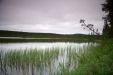 Thumbnail img_3608.jpg 