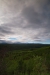 Thumbnail img_3698.jpg 