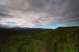 Thumbnail img_3699.jpg 