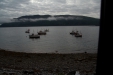 Thumbnail img_3792.jpg 