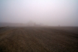Thumbnail img_3877.jpg 