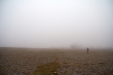 Thumbnail img_3946.jpg 