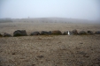 Thumbnail img_3951.jpg 