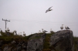 Thumbnail img_3965.jpg 
