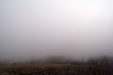 Thumbnail img_4055.jpg 