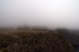 Thumbnail img_4056.jpg 