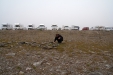 Thumbnail img_4060.jpg 
