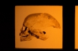 Thumbnail img_4132.jpg 