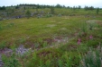 Thumbnail img_4139.jpg 