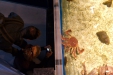 Thumbnail img_4355.jpg 