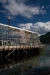 Thumbnail img_4424.jpg 
